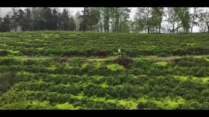 视频 | 2026滁州春季越野赛在南谯区施集镇九天峰度假村正式开赛
                                                        