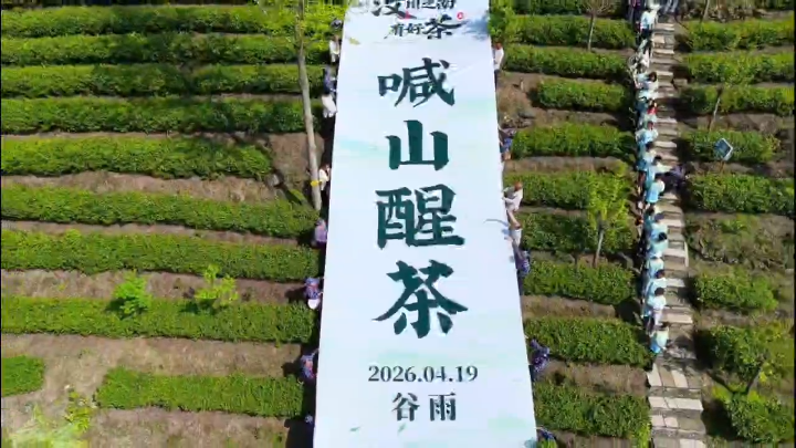 视频 | 一片新芽映春潮，汶川之南有好茶
                                                        