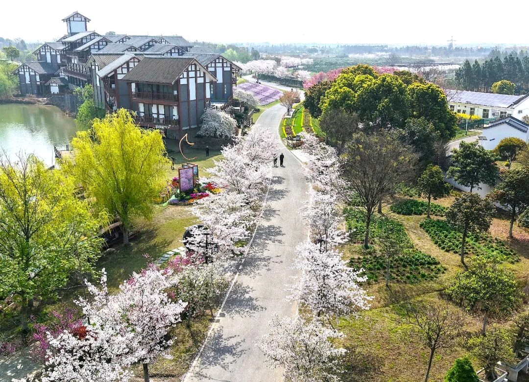 湖北孝感市孝南区打造武汉都市圈微度假文旅新标杆