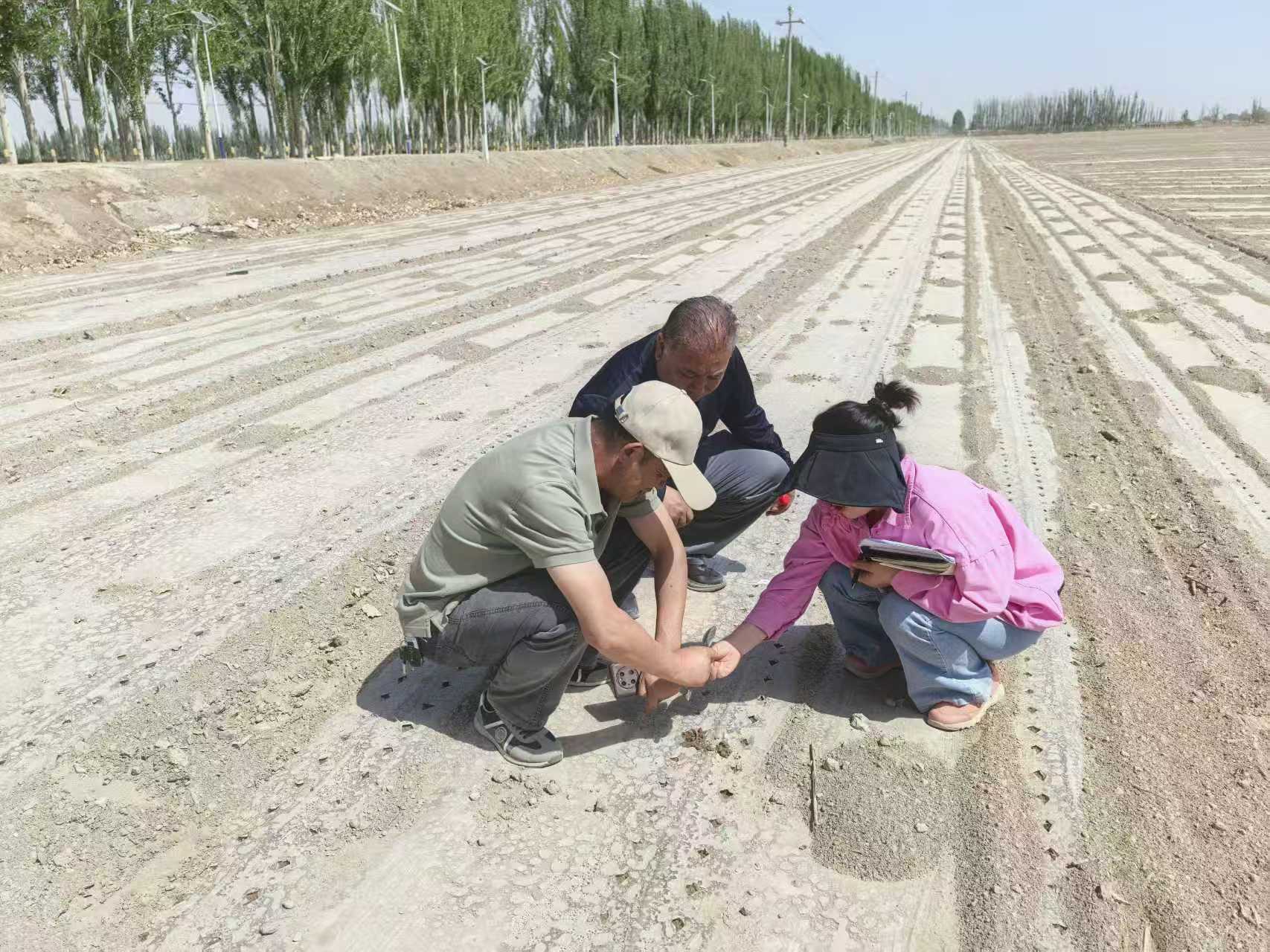科学施肥增效指导服务活动现场(张宏 摄)