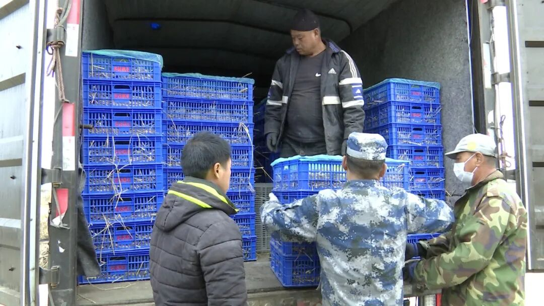 养殖基地现场(付鑫淼 摄)