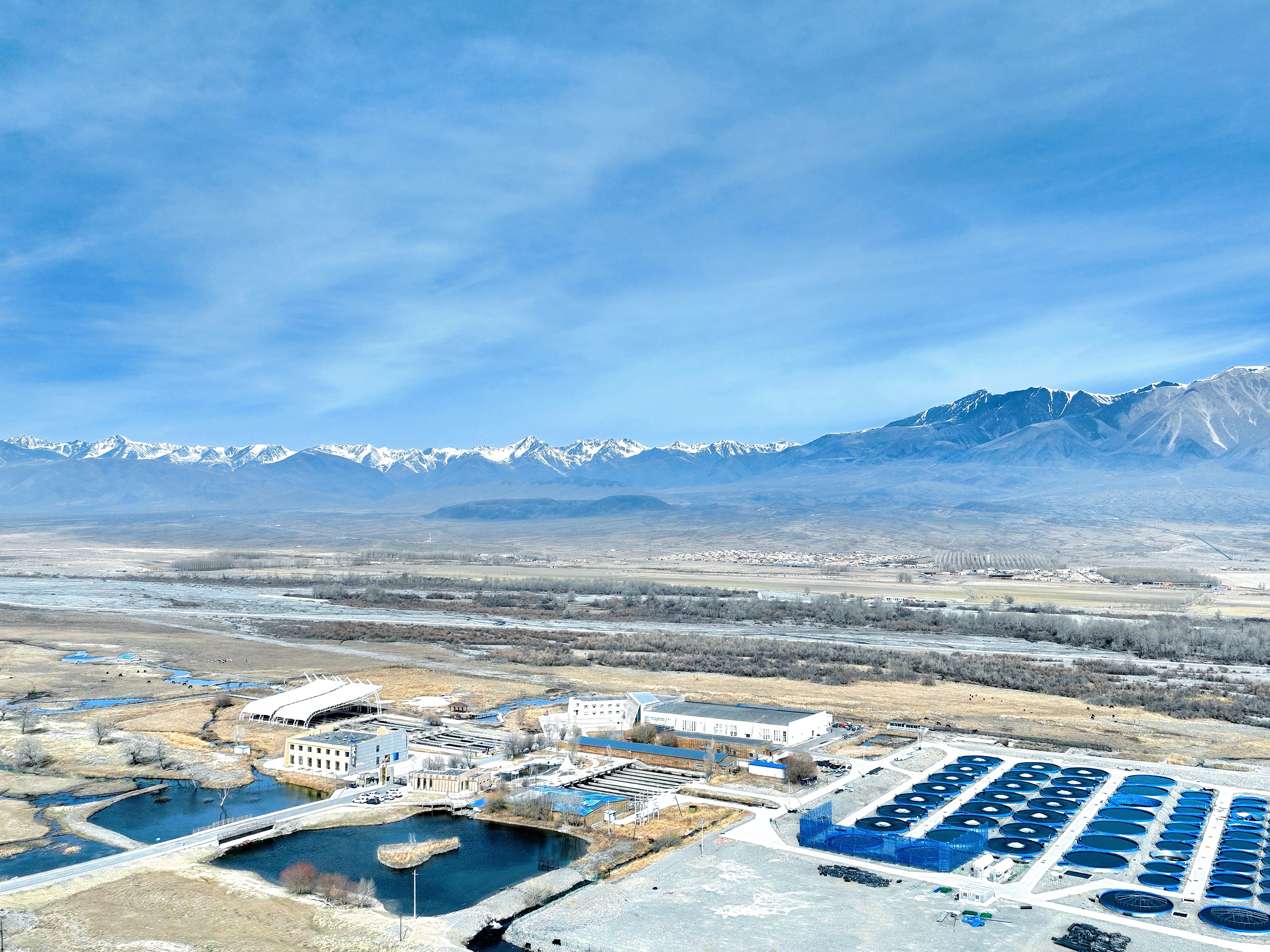 新疆温泉县冷水鱼基地(陈凯 摄)