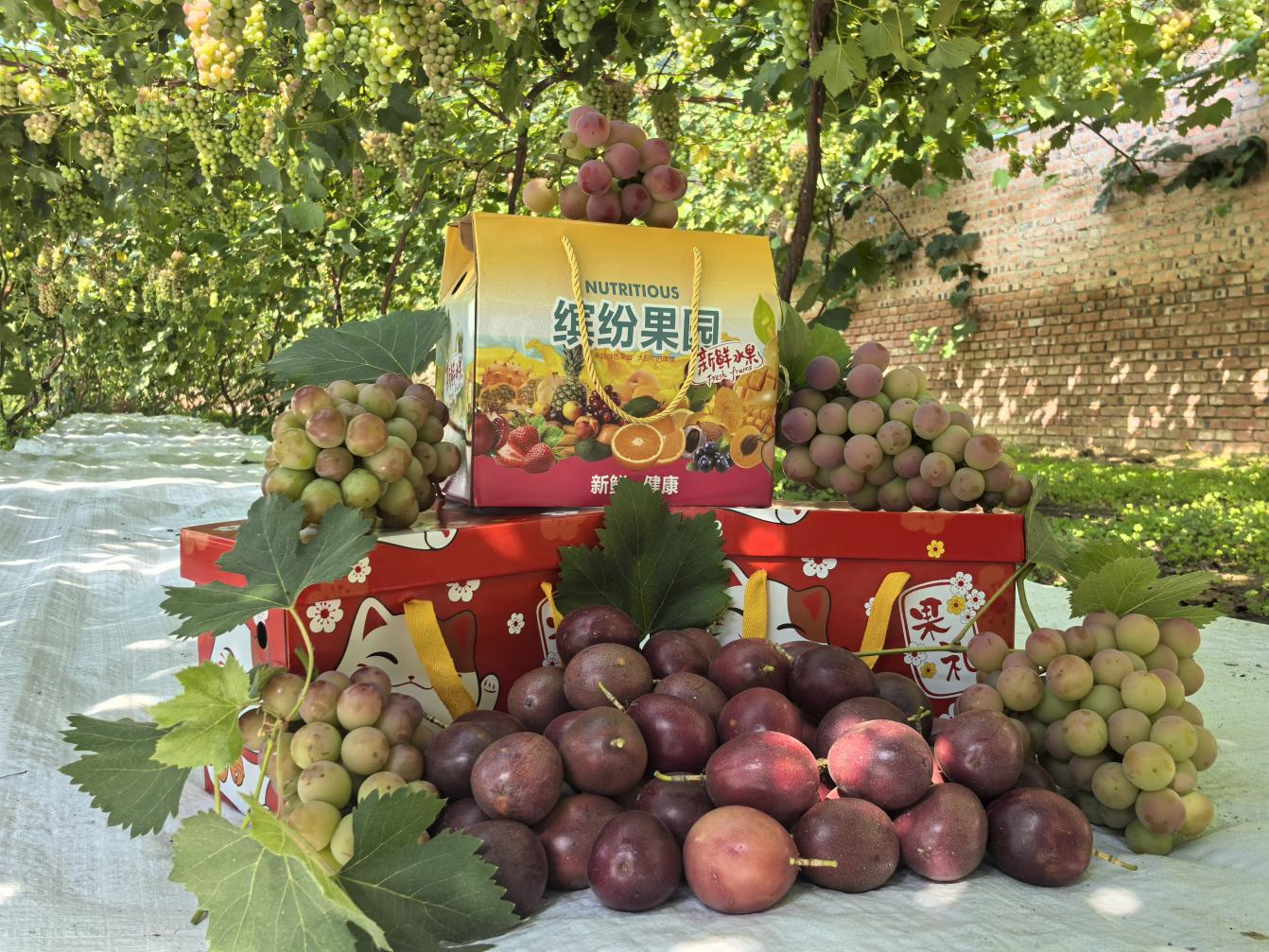 葛根庙镇果蔬采摘供应园区吴国强家的果蔬礼盒(梁子晶 摄)