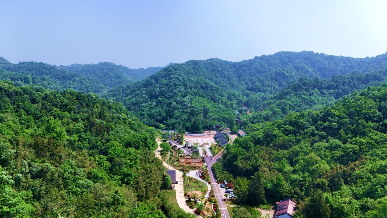 钱冲古银杏生态旅游区(安荣轩 摄)