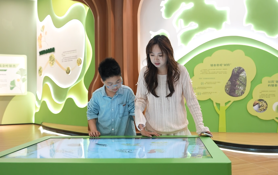 游客打卡银杏科普馆(安荣轩 摄)