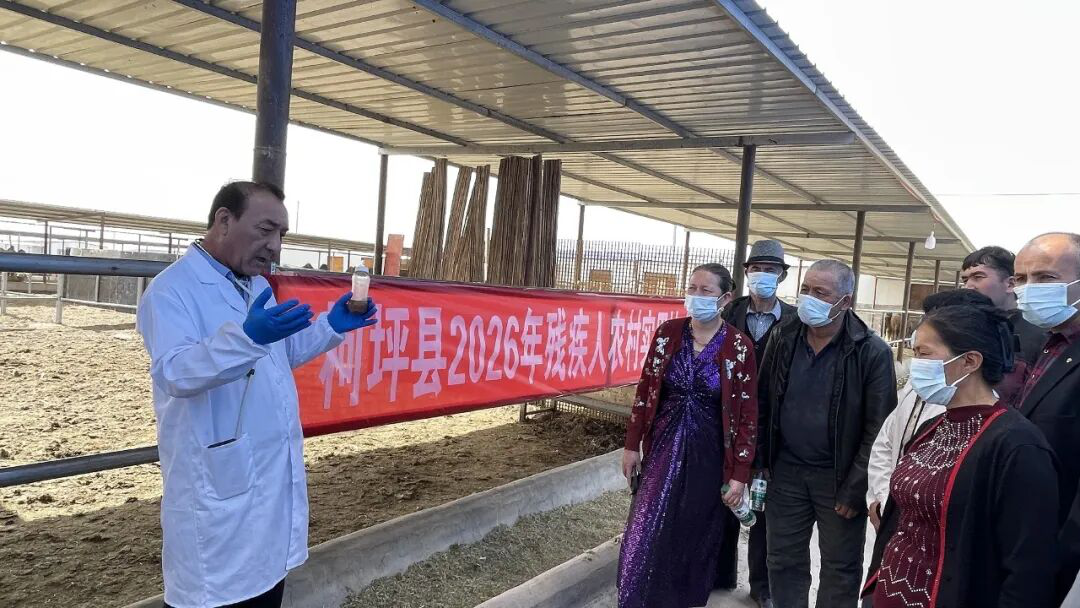 柯坪县组织开展残疾人畜牧养殖专项实用技术培训(艾克拜尔·买买提 摄)