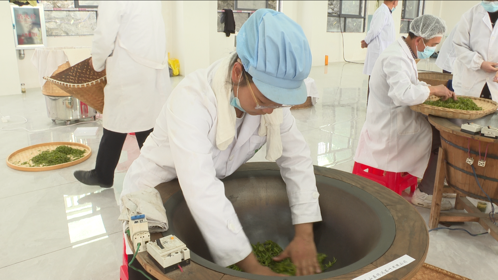 比赛现场选手手工制作英山云雾茶(吴滕钰 摄)