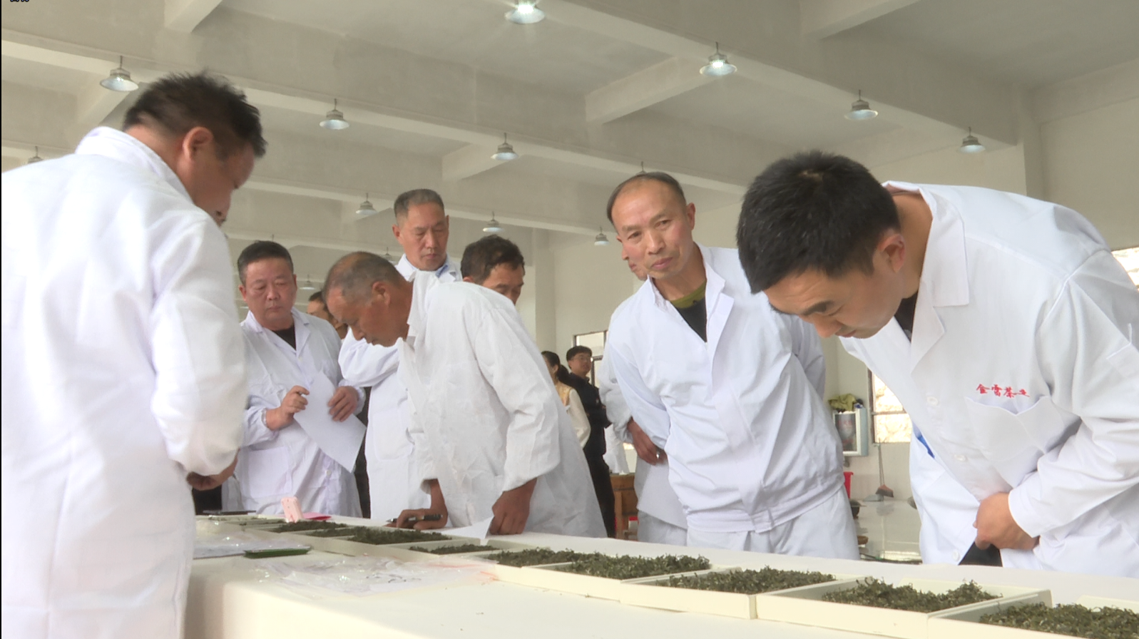 参赛选手和专家现场开展盲评(吴滕钰 摄)