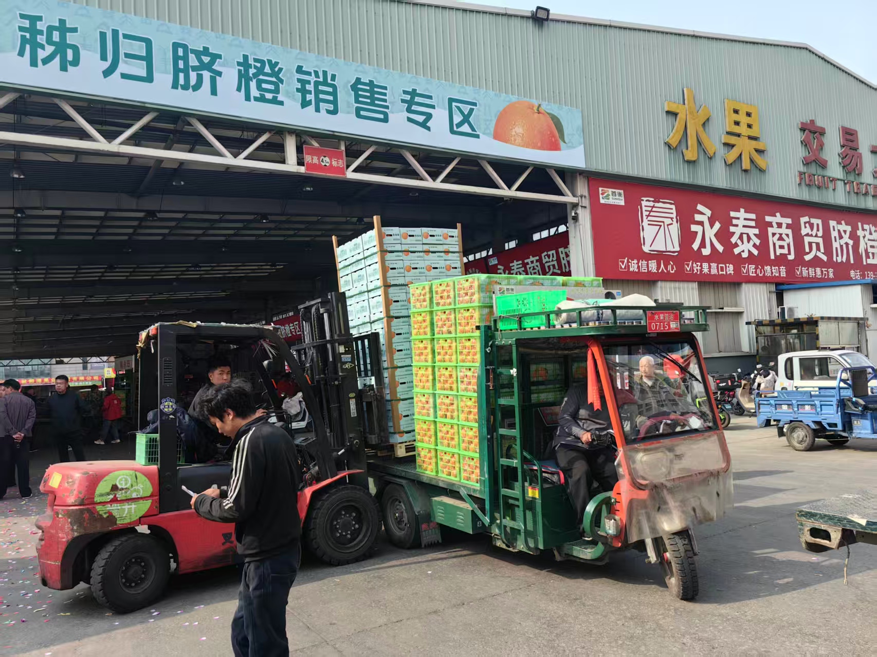 秭归脐橙已入驻首衡高碑店市场设立专属销售专区(谭永辉 摄)