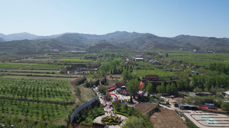 美宝山庄桃花文化节现场全景(范晓嘉 摄)