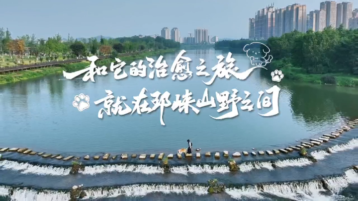 视频 | 山野徒步从来不止人的独行，更有人与萌宠的双向奔赴。
                                                        