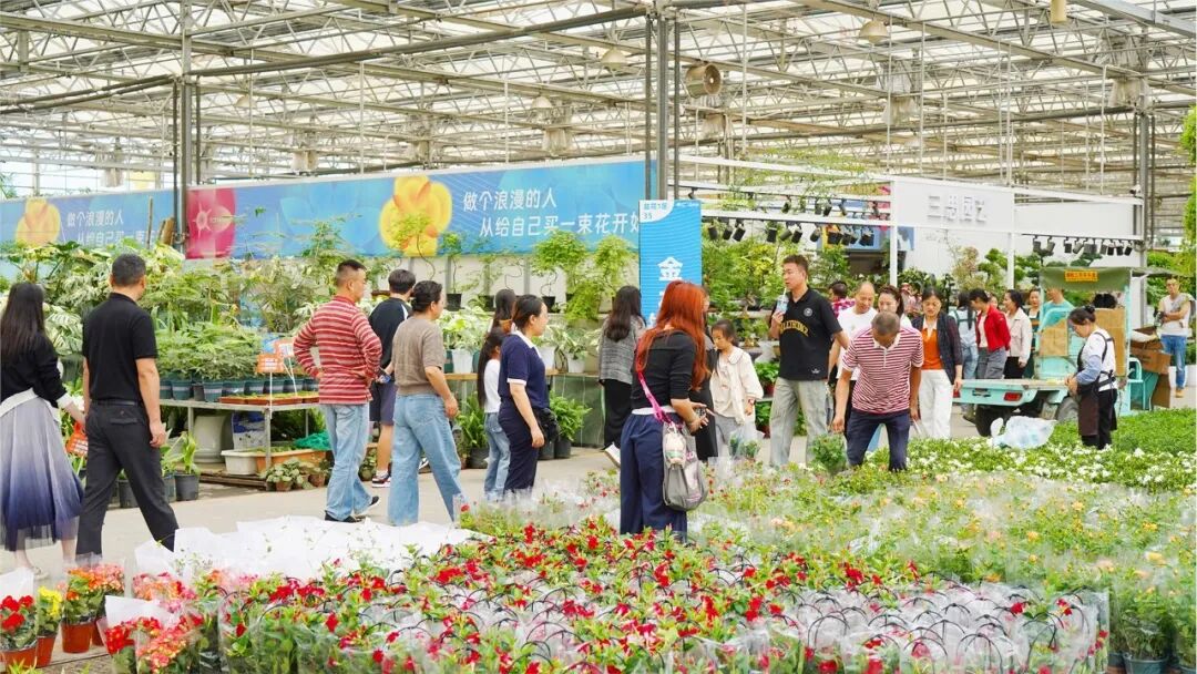 花卉市场火爆(何曼青 摄)