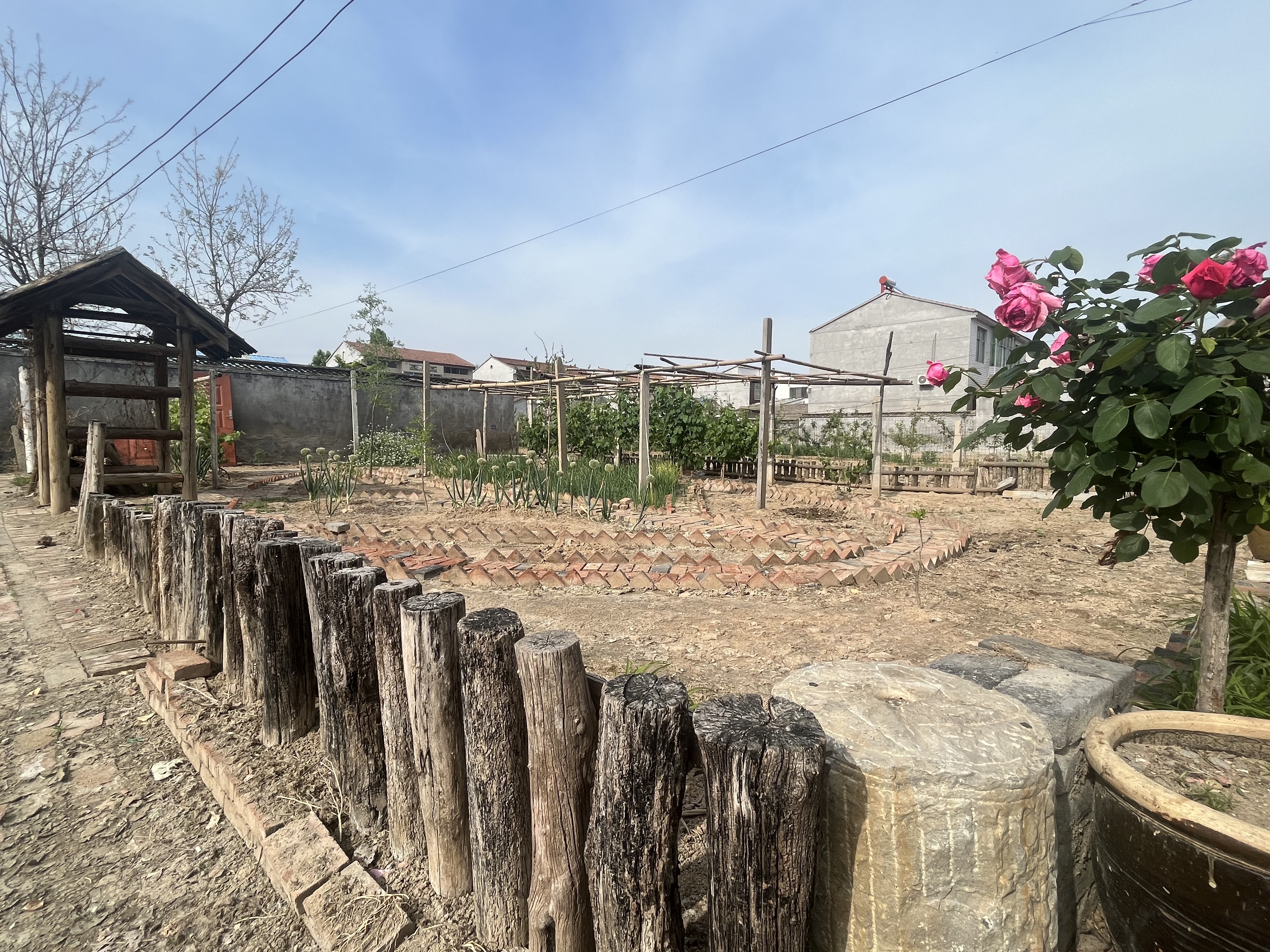 宅前屋后、田间地头的方寸小菜园(郭嫽 摄)
