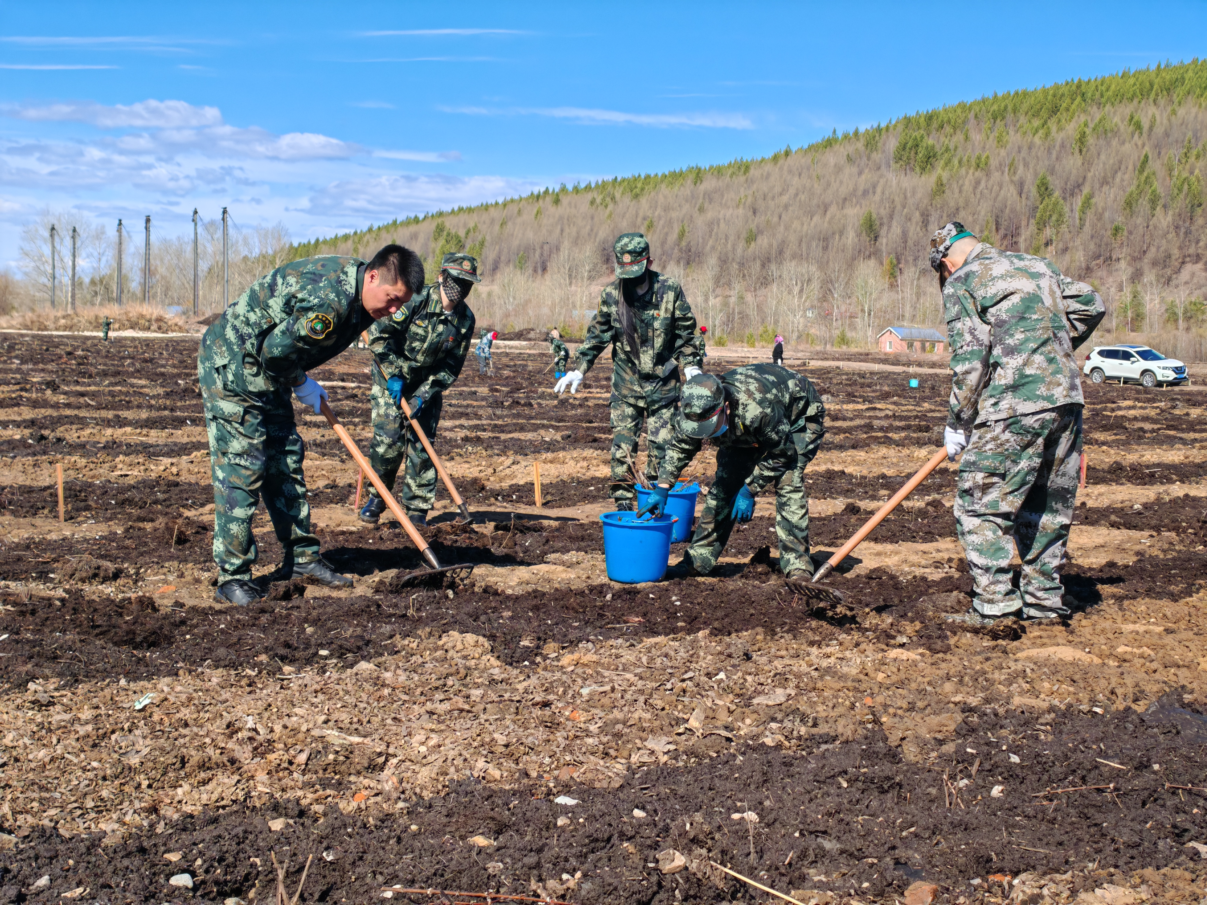 党员干部参与蓝靛果种植基地建设(高伟文 摄)