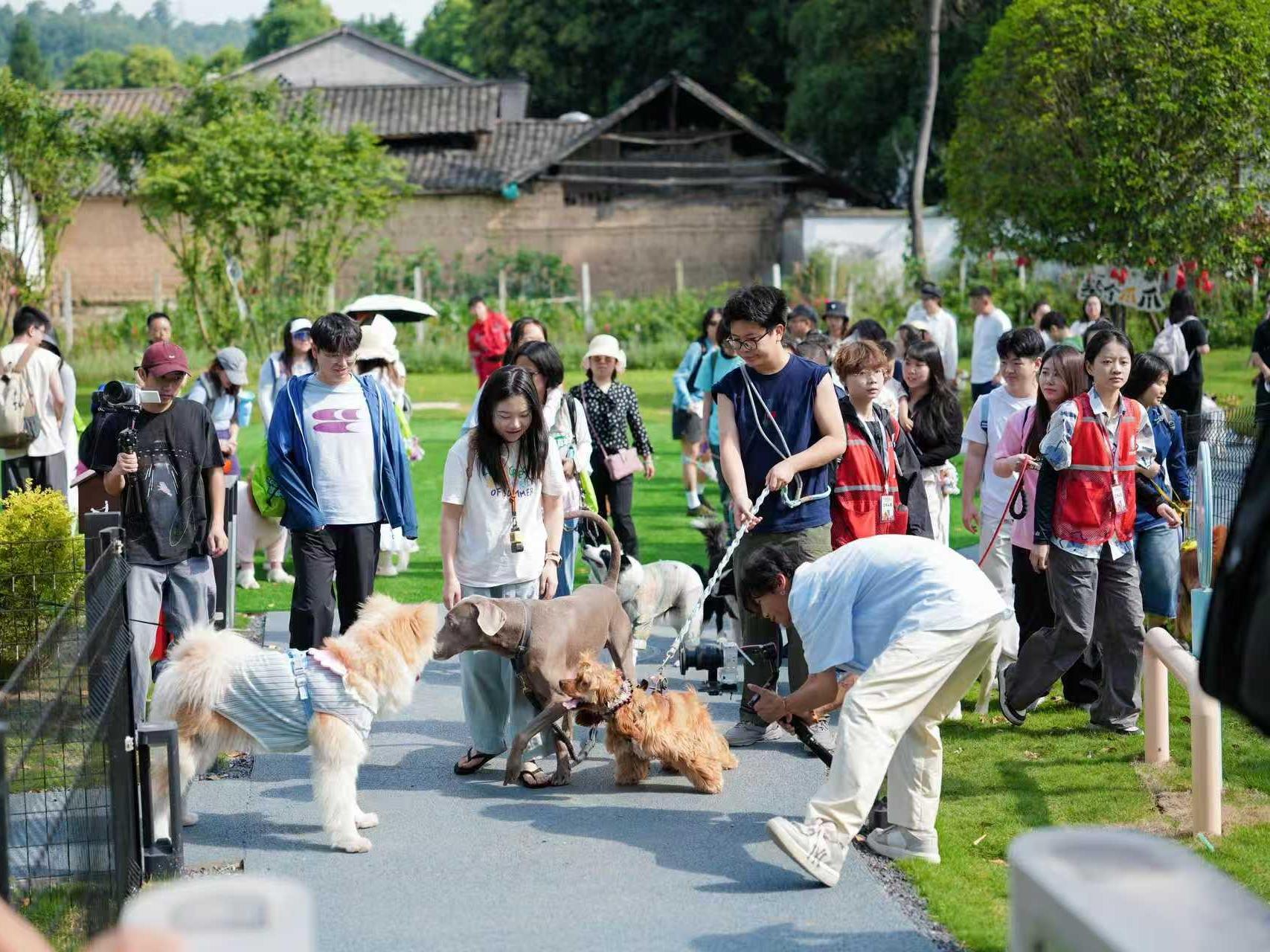 活动现场(陈琼 摄)