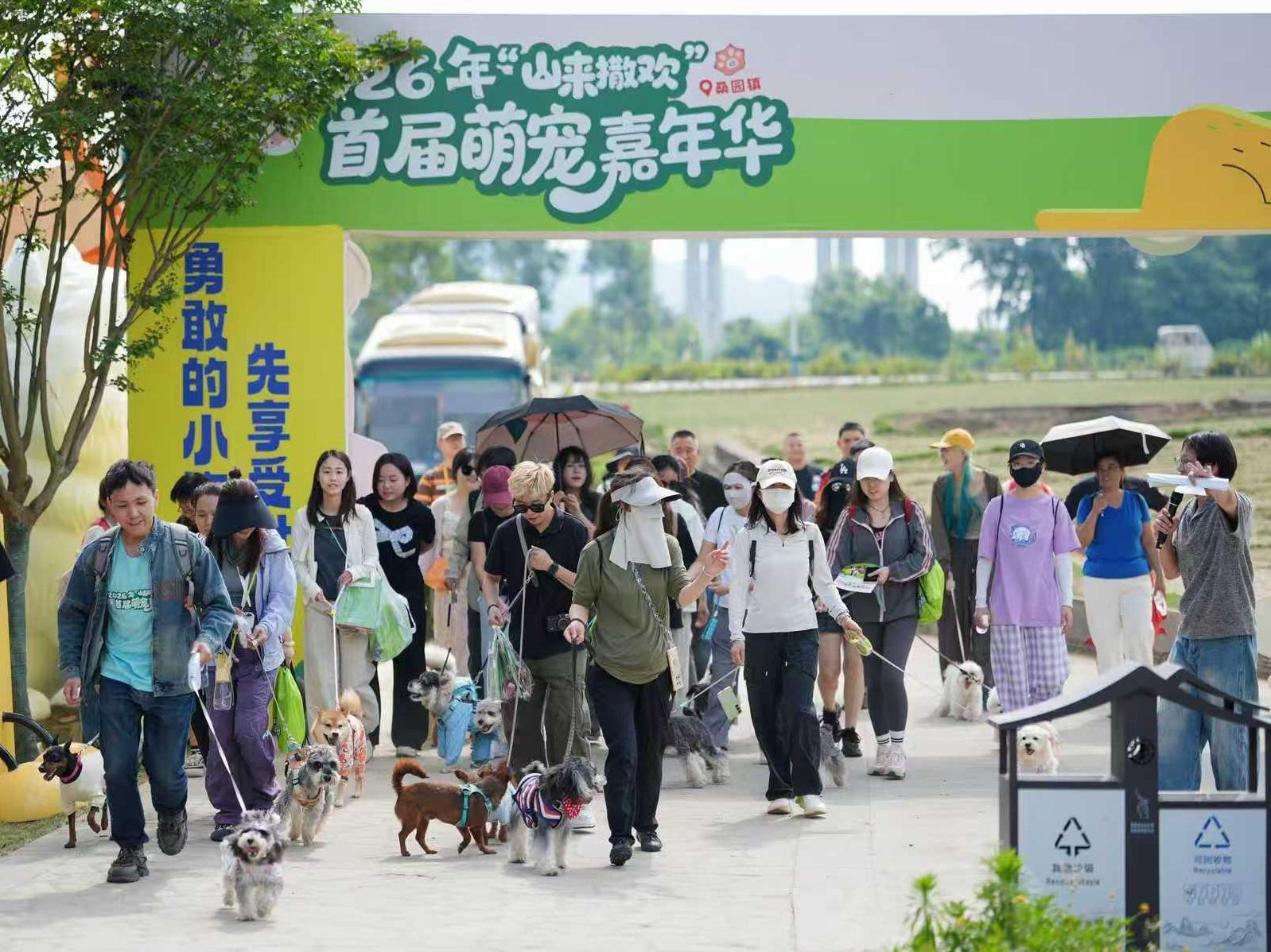 活动现场(陈琼 摄)