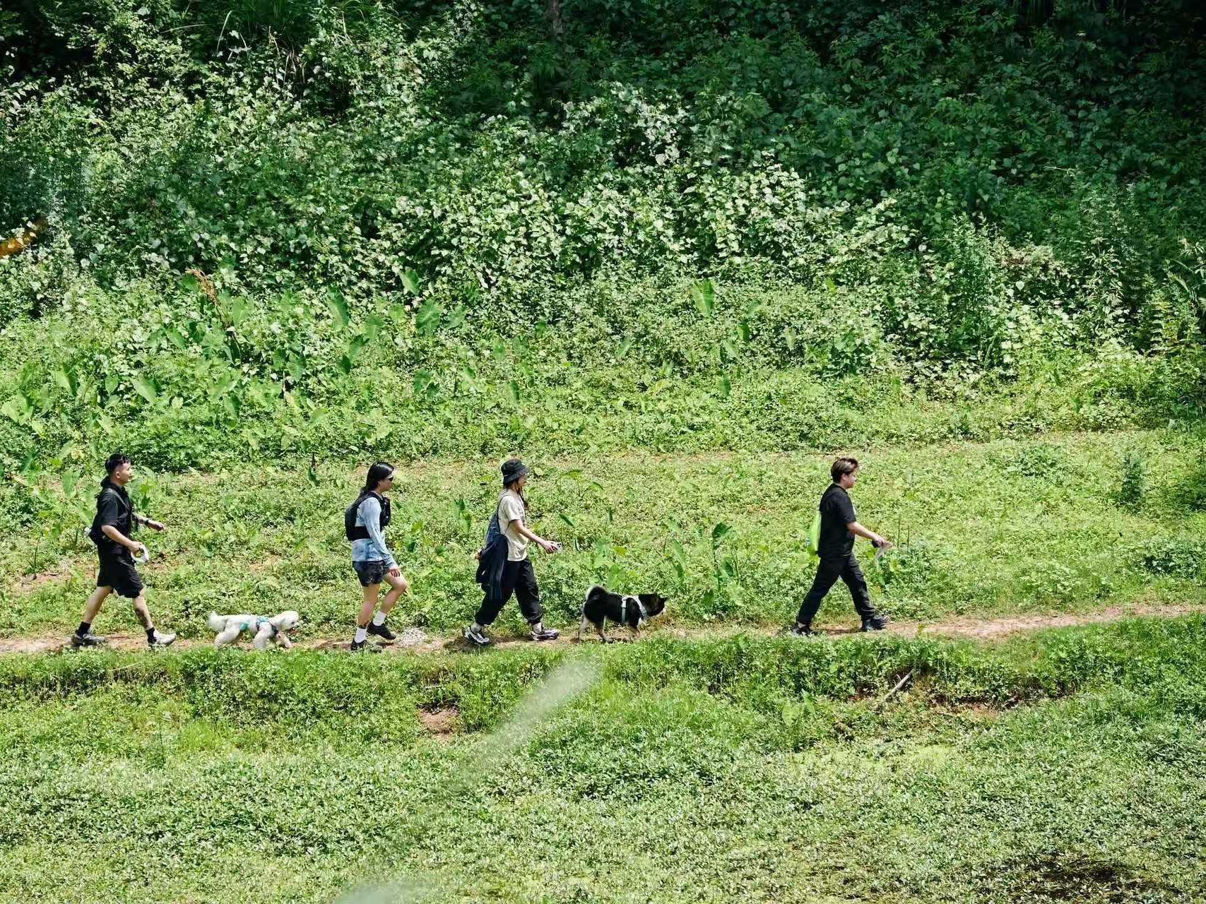 活动现场(陈琼 摄)
