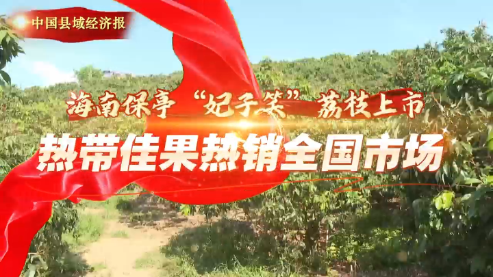 视频 | 海南保亭“妃子笑”荔枝上市 热带佳果热销全国市场
                                                        