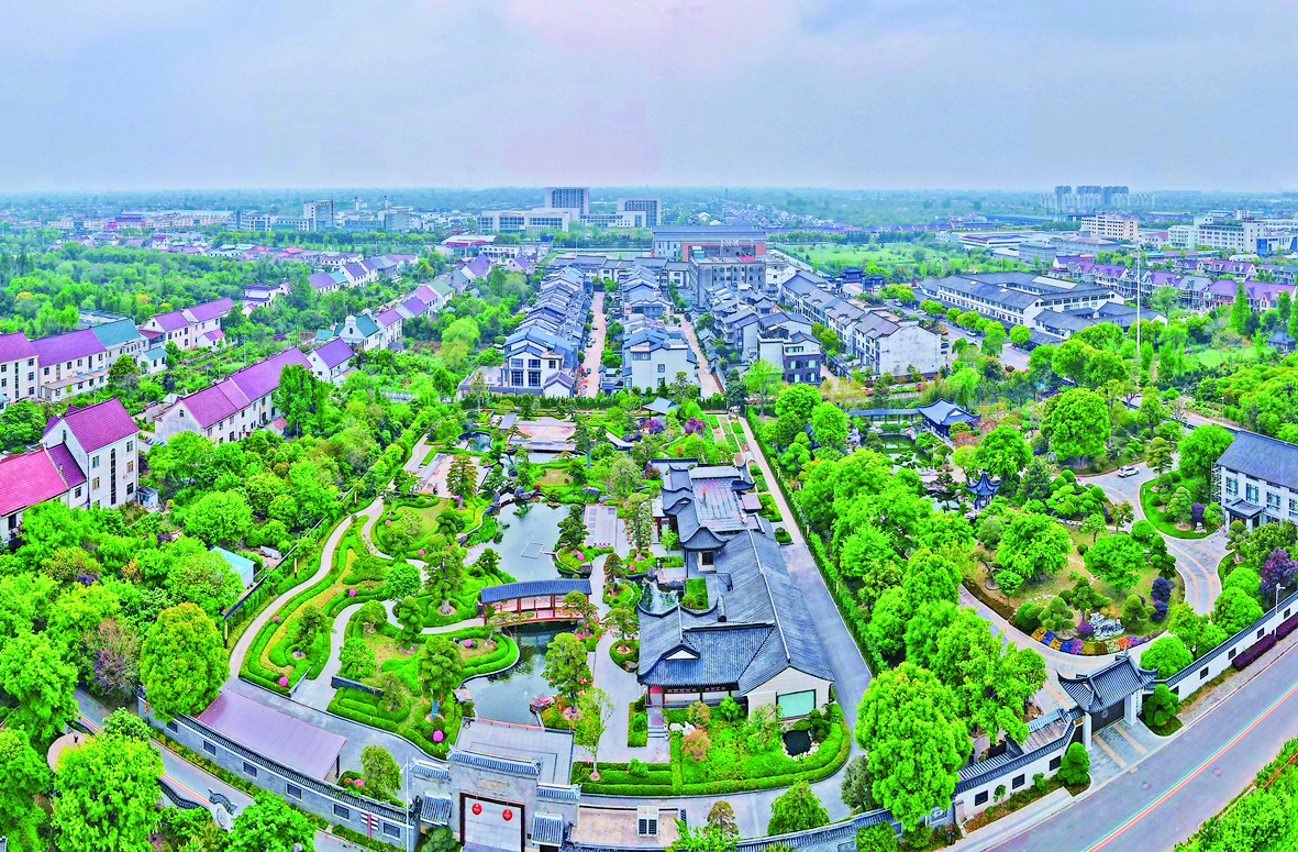 江苏如皋如城街道顾庄社区农家特色庭院(吴树建 摄)