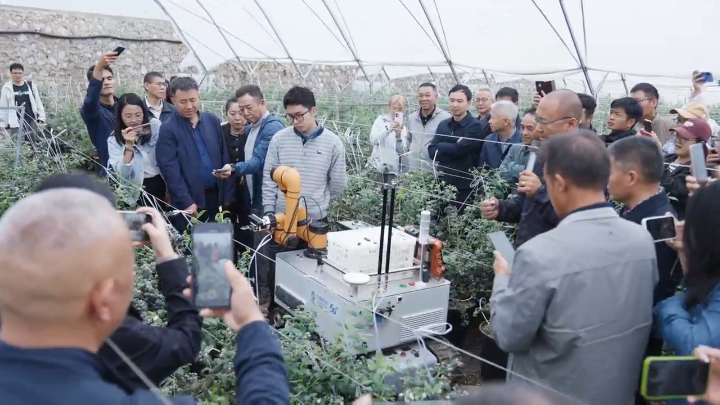 视频 | 云南蓝莓耕种管收农用无人机推广应用专项对接活动在蒙自举办
                                                        