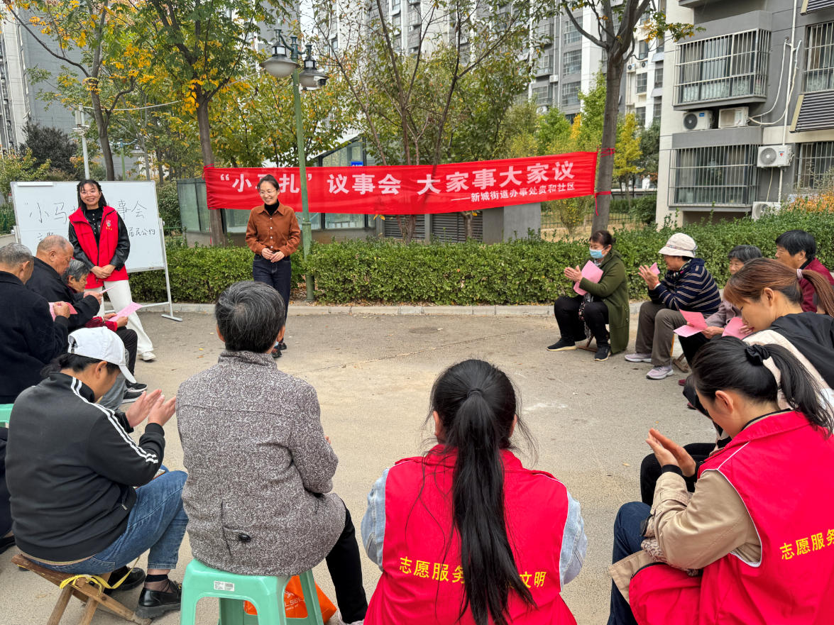 议事(杨青 摄)