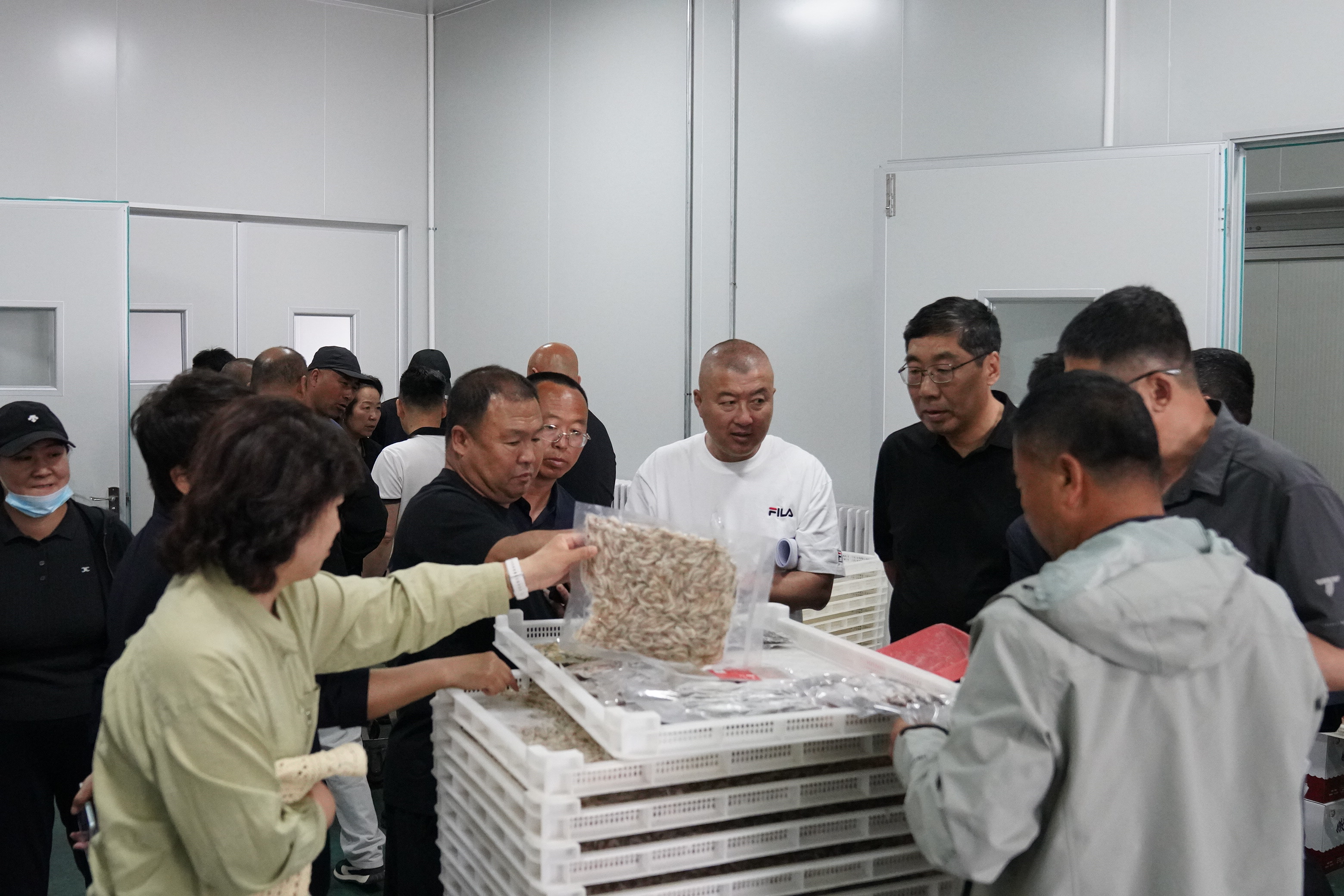 观摩团实地考察鱼虾深加工生产流程 (王凯 摄)