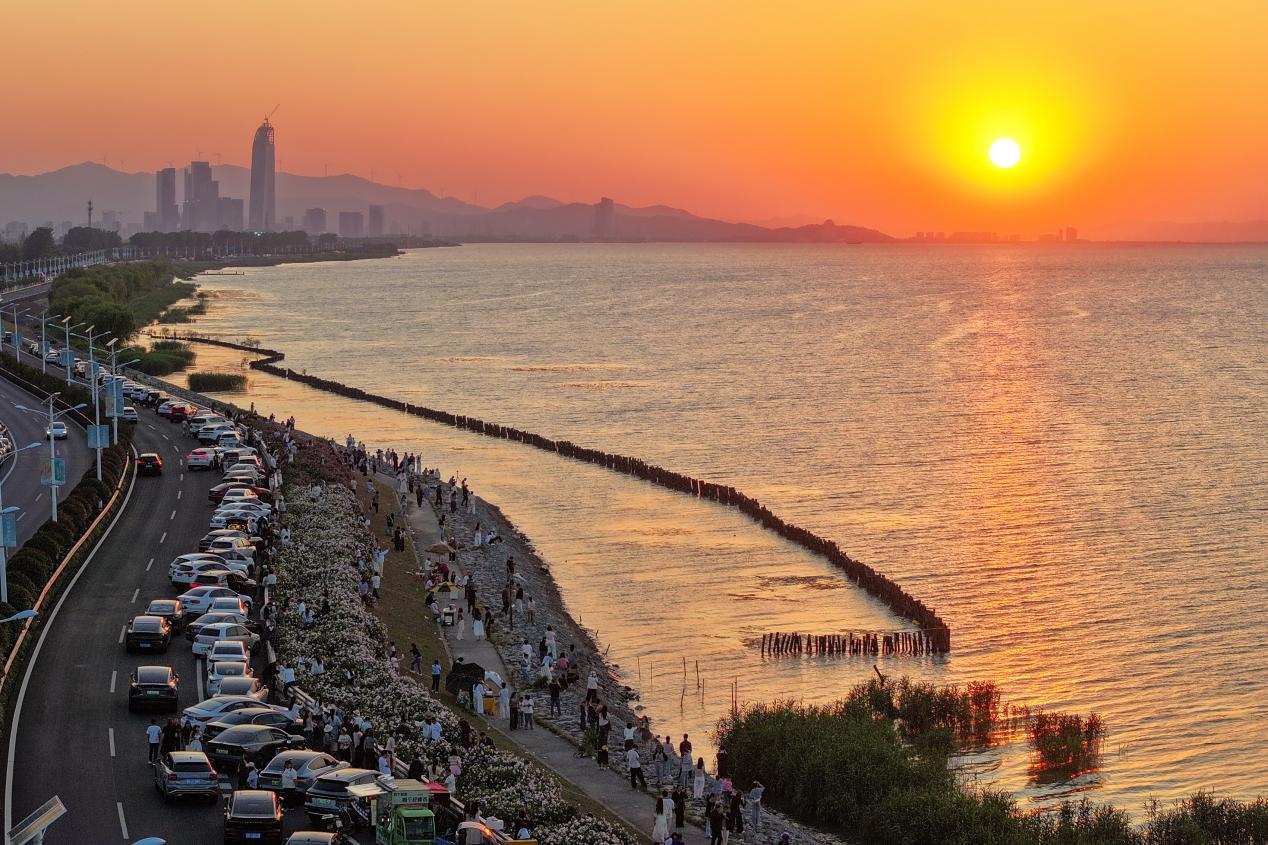 吴兴区湖州滨湖带太湖新溇港大景 (何伟卫 摄)