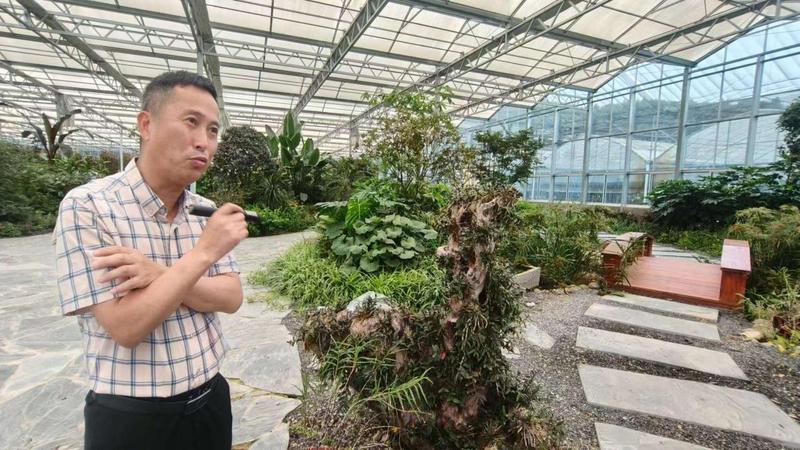 植然方适(乐清)农业科技有限公司总经理蒋正剑介绍铁皮石斛情况(曾庆华 摄)