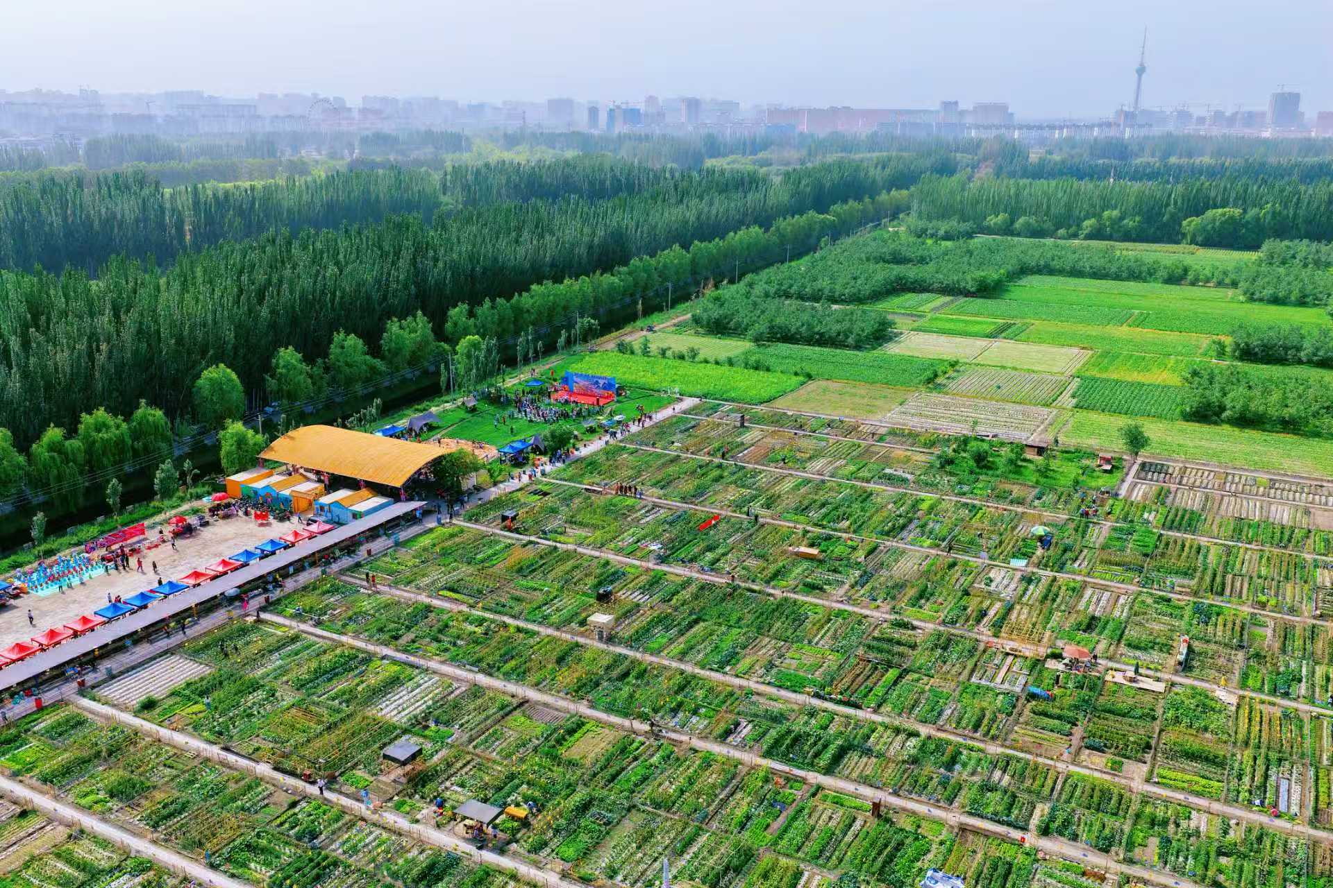 拾光菜园全景(魏源 摄)