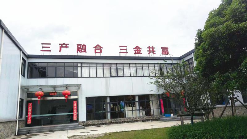 閤口村“斛光山色”片区一景(曾庆华 摄)