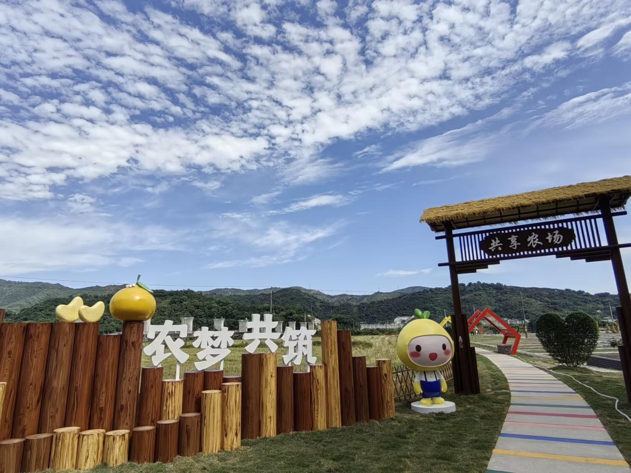 茶头村未来乡村共享农场(卢剑 摄)