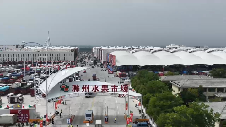 视频 | 安徽滁州水果市场正式开市运营
                                                        