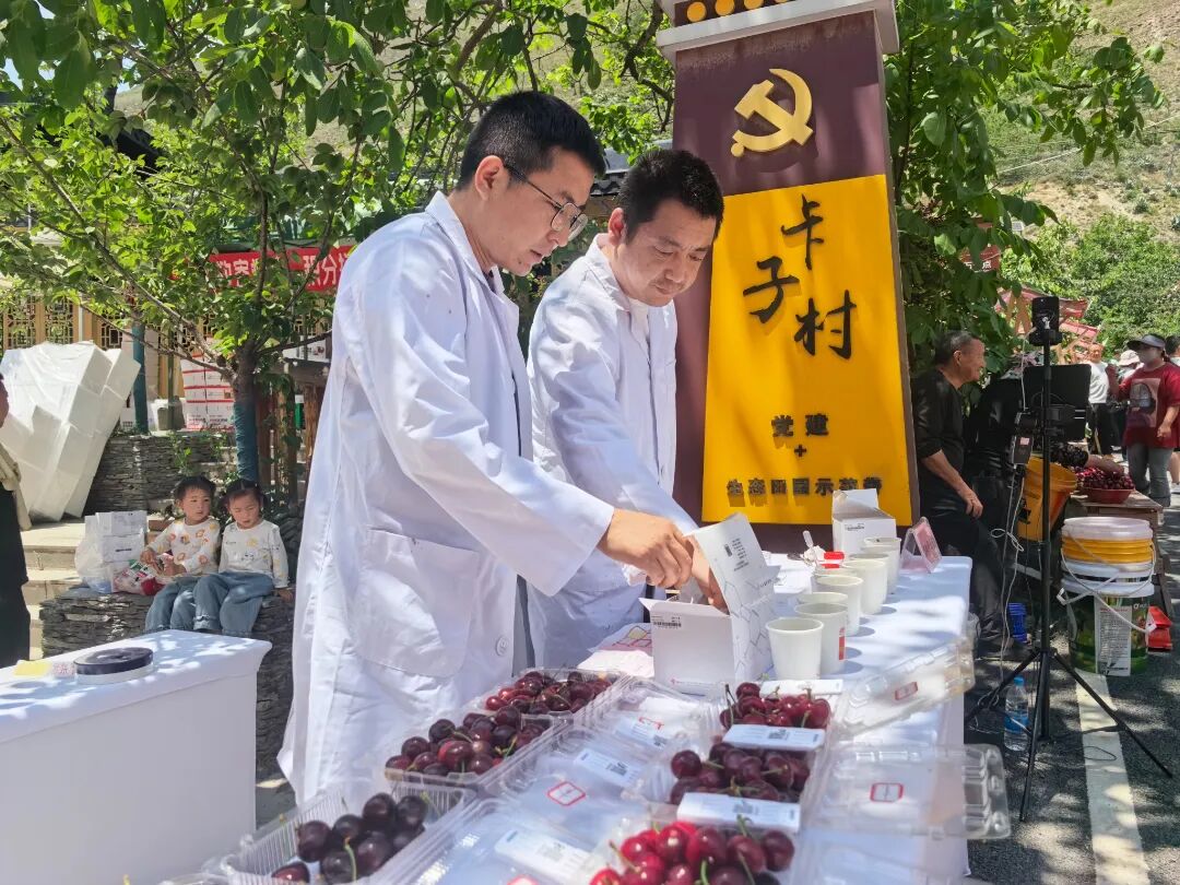 樱桃评比(汪梅 摄)