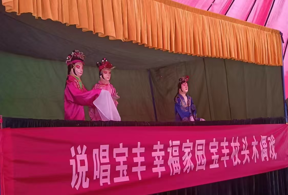 宝丰魔术大会上的杖头木偶戏表演 (郭明远 摄)