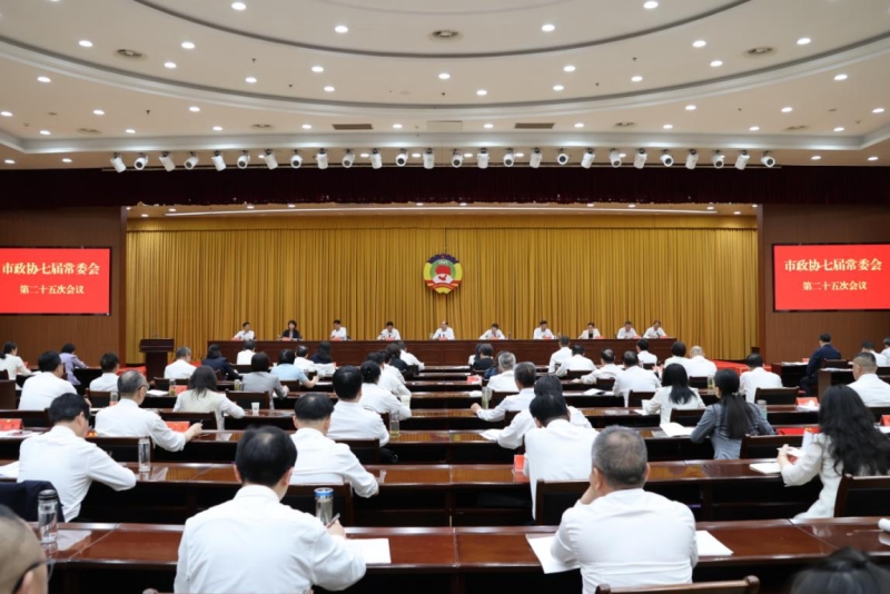 聚焦“滚动推进‘双百’工程 强力支撑主城崛起”协商建言(朱炜烨 摄)