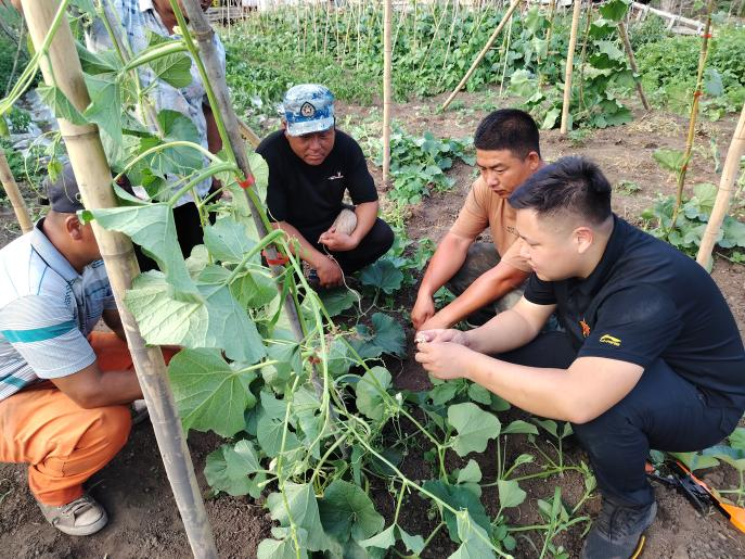 到村任职大学生刘鸿鑫指导农户种植葫芦(罗治中 摄)