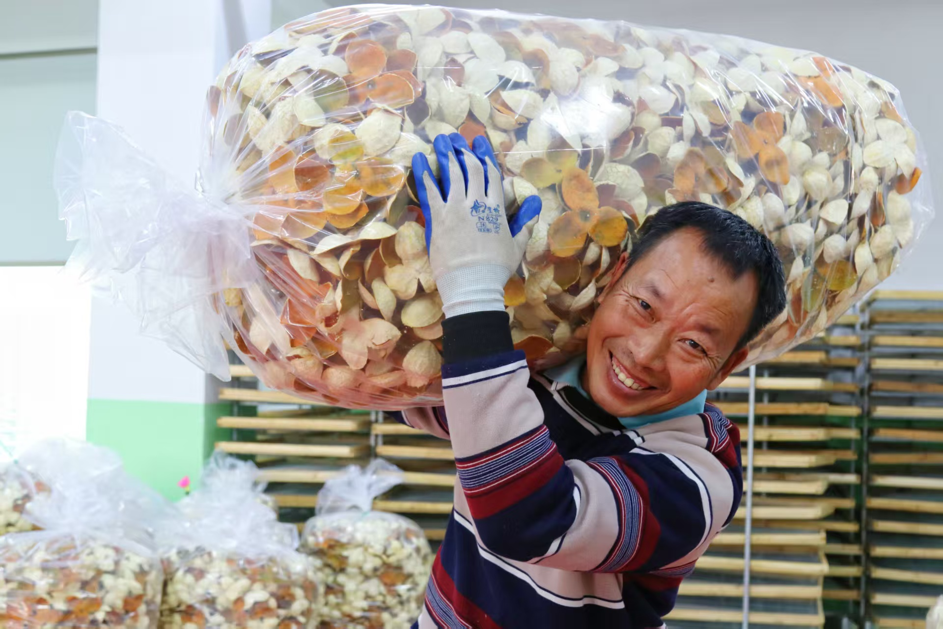 果农扛着陈皮,脸上满是幸福的笑容。(庞秀梅 摄)