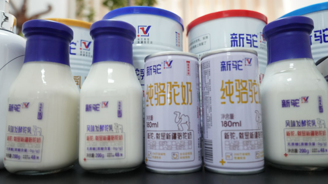 驼奶产品 (地拉吾尔 摄)