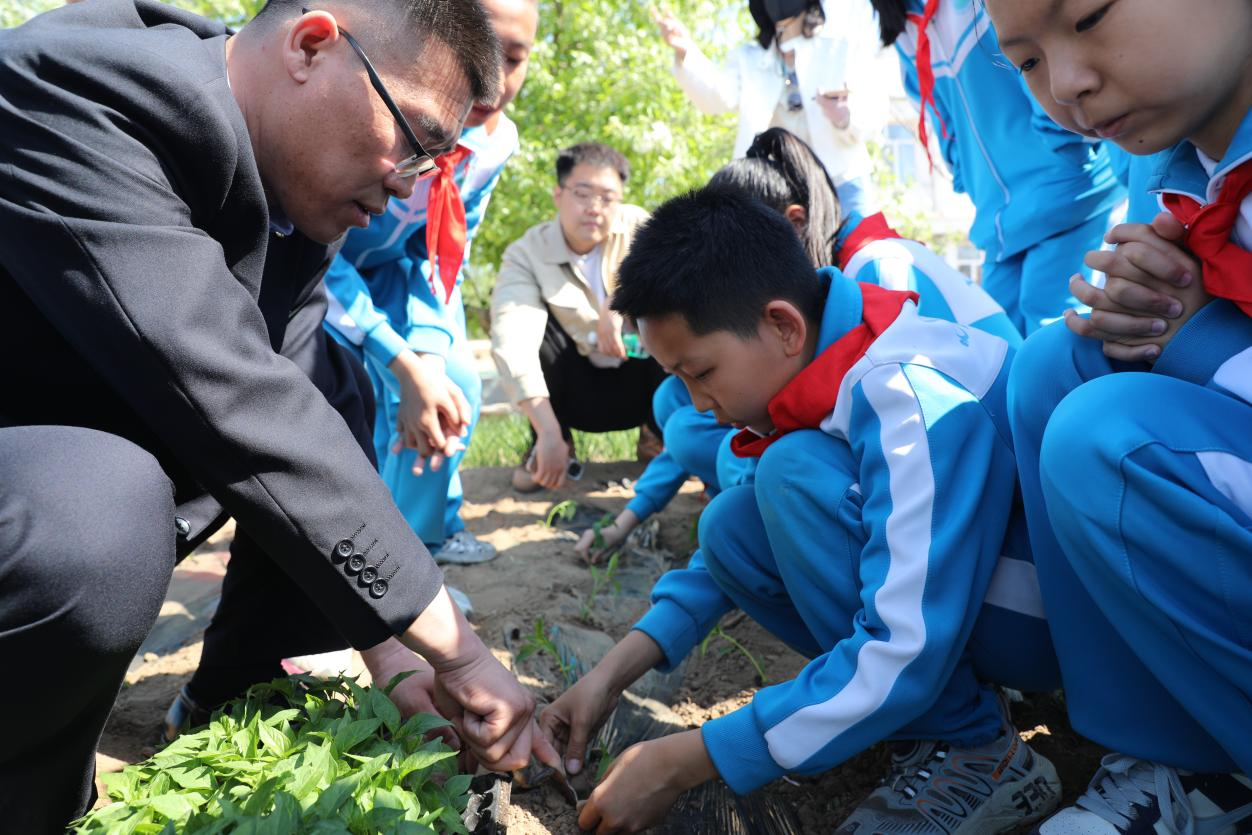 教师带领学生们栽种秧苗、体验劳动 (秦英 摄)