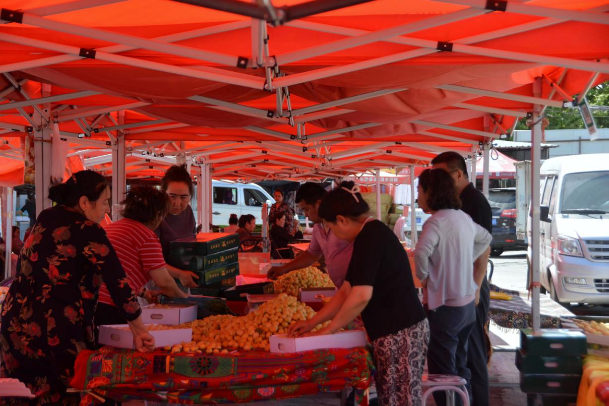 小白杏销售市场(田鹏 摄)