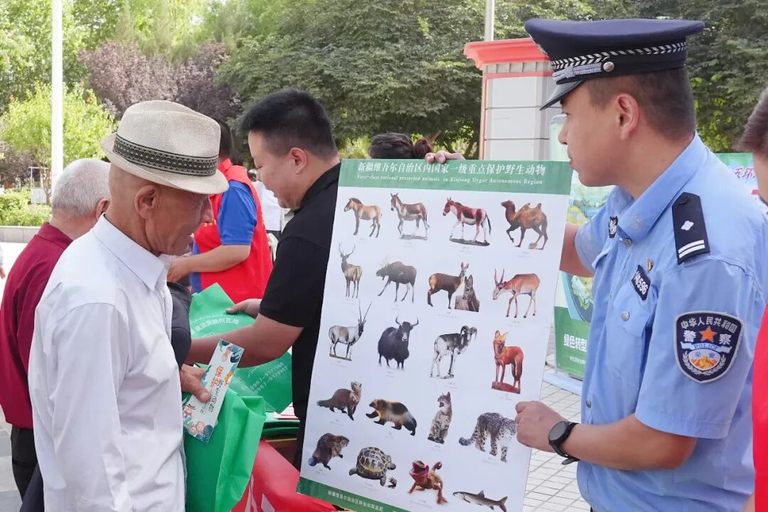 活动现场(胡国华 摄)