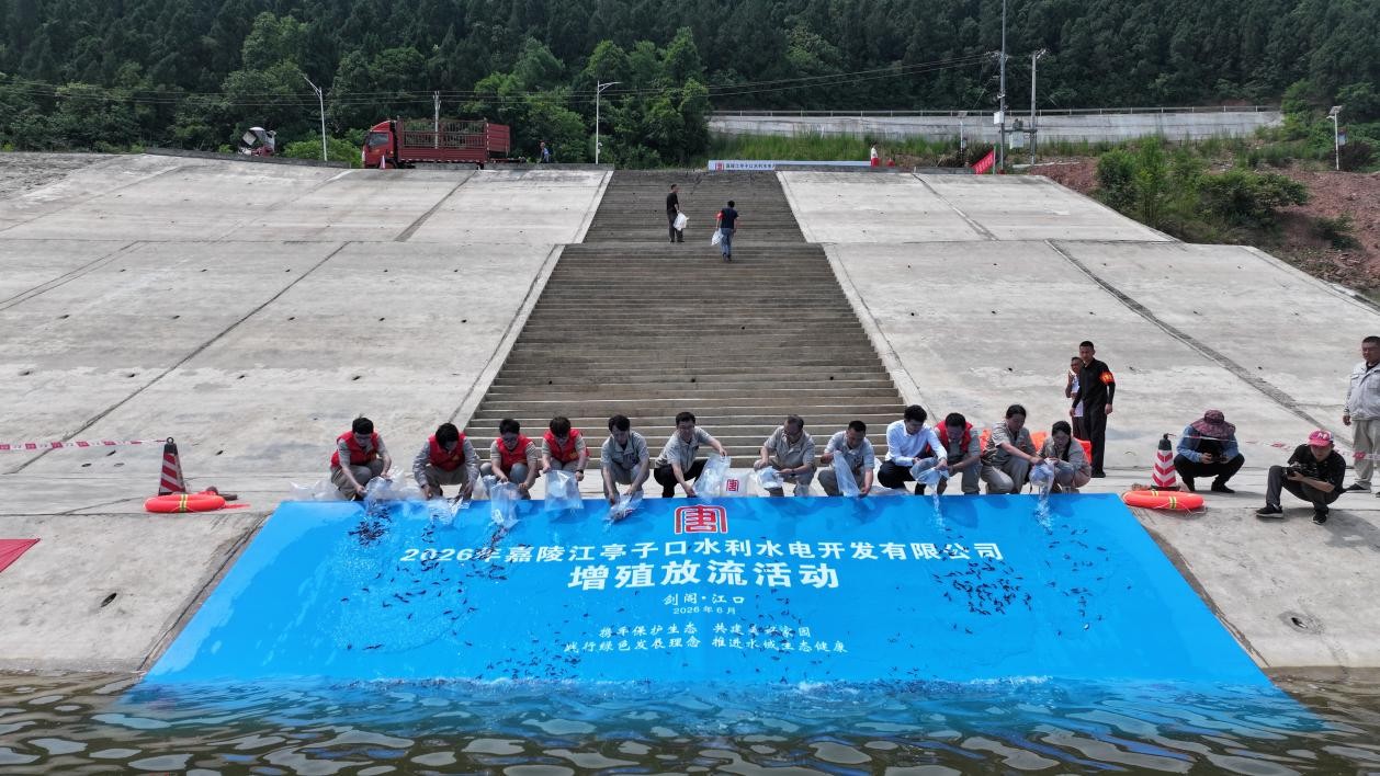 活动现场(杨文波 摄)