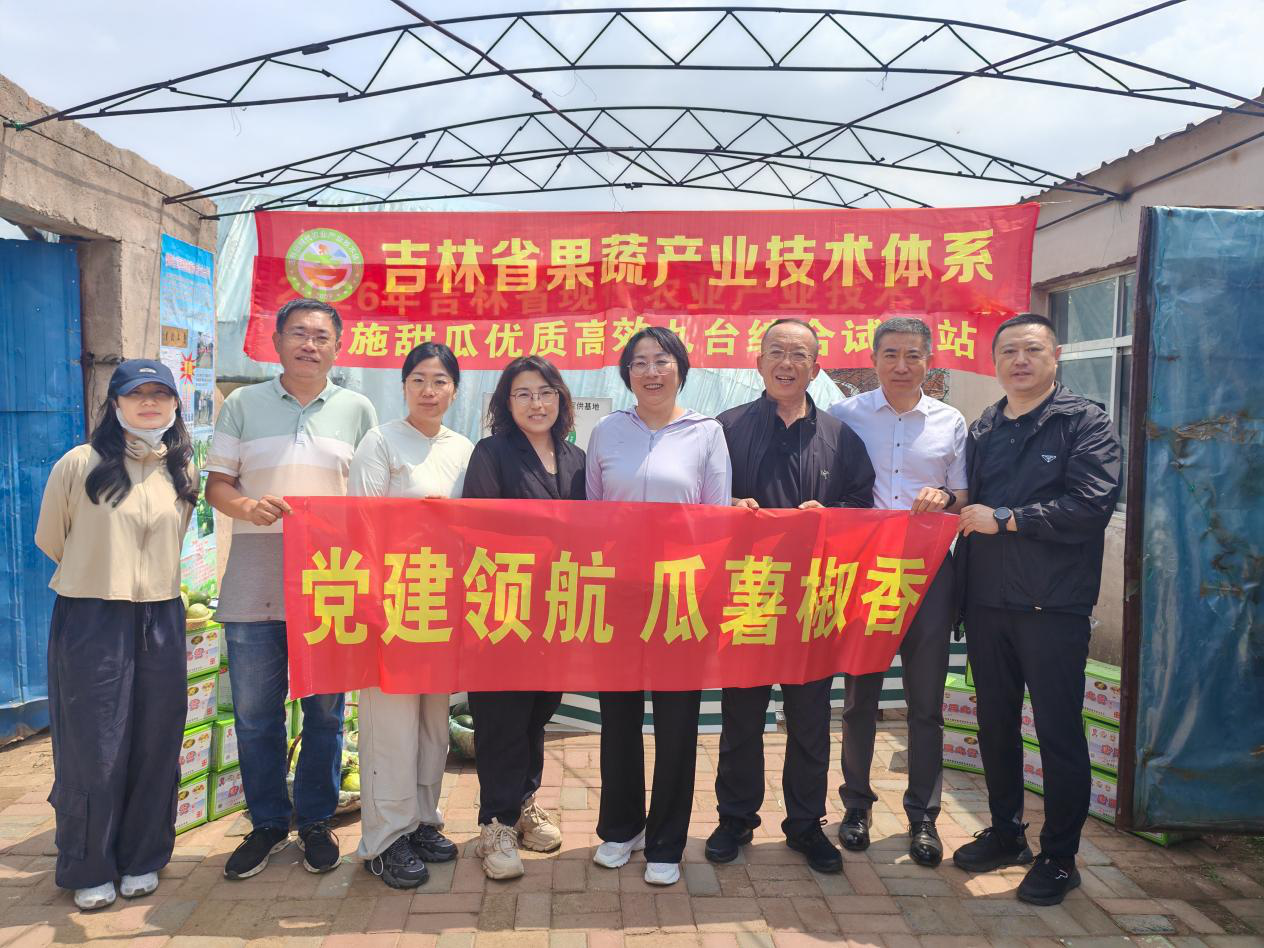 吉林省蔬菜花卉科学研究院甜瓜课题组在梨树县召开甜瓜新品种品鉴现场会(崔晶 摄)