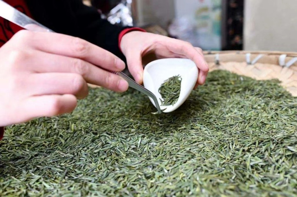 “羽义剑毫”生态茶叶品牌(张磊 摄)