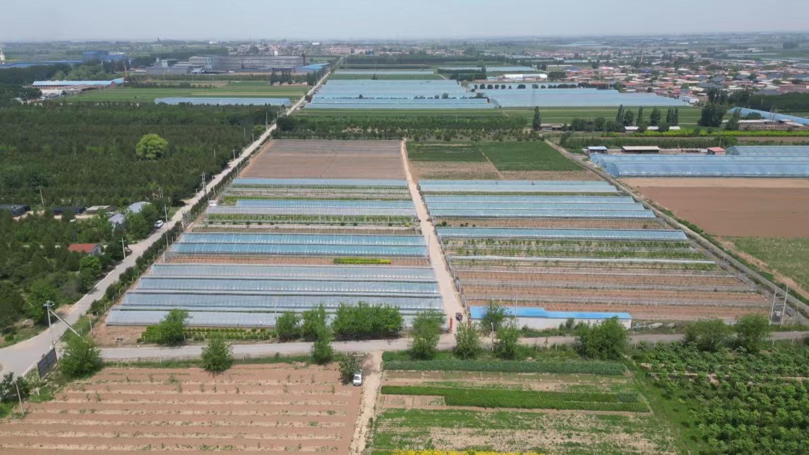 园区设施农业基地(王元龙 摄)