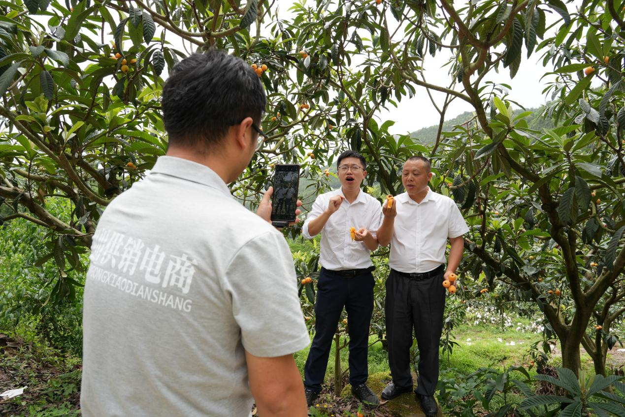 枇杷园联合直播现场(刘敏 摄)