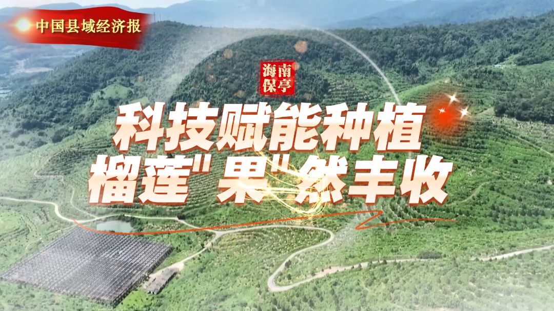 视频 | 海南保亭：科技赋能种植 榴莲“果”然丰收
                                                        