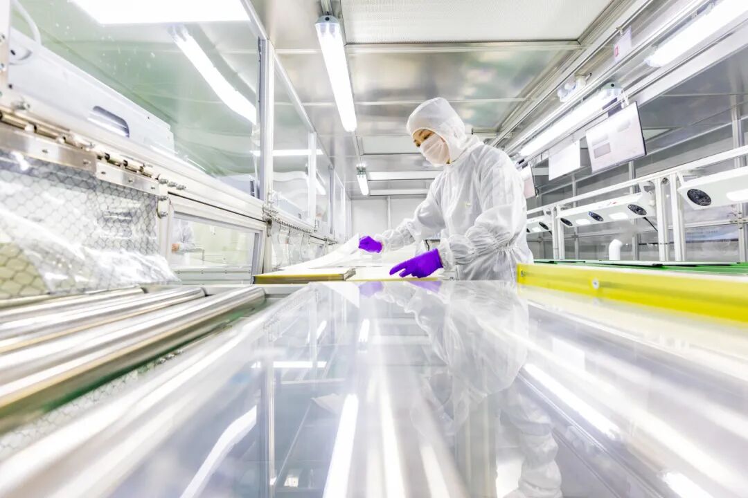 彤辉智能科技天门有限公司LCM无尘车间内,工人们正在加紧安装显示模组(张伟康 摄)