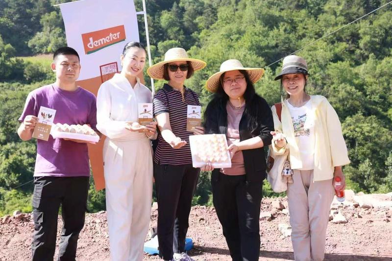 檀山皇德米特边鸡蛋亮相杨安荒山牧养示范基地(李琼 摄)