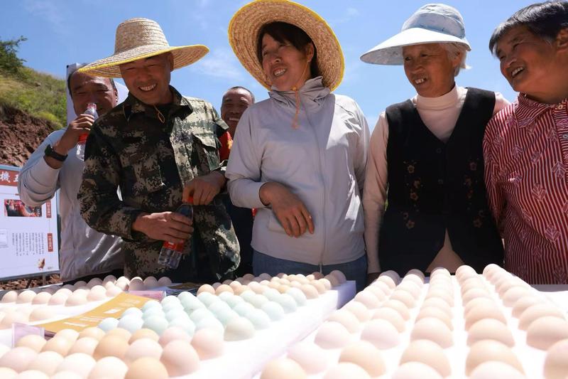 群众现场了解檀山皇谷物蛋产品(李旭豪 摄)